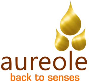 Aureole new Logo (Transparent)